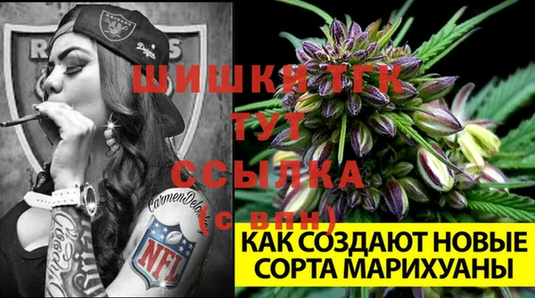 твердый Магадан