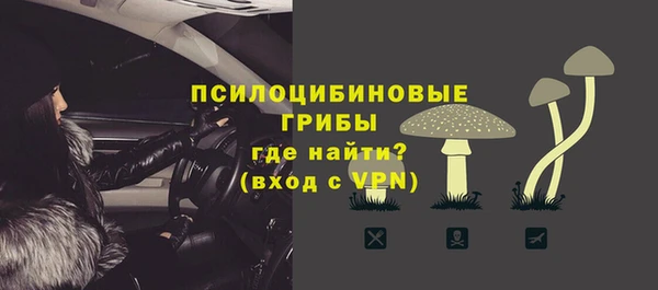 гидра Магас