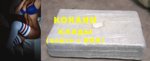 гидра Магас