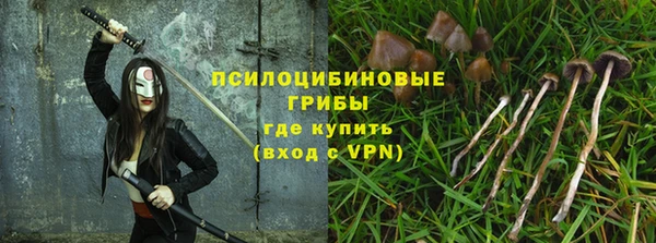 гидра Магас