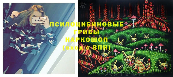 гидра Магас