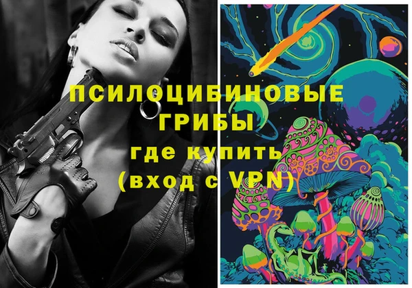 гидра Магас