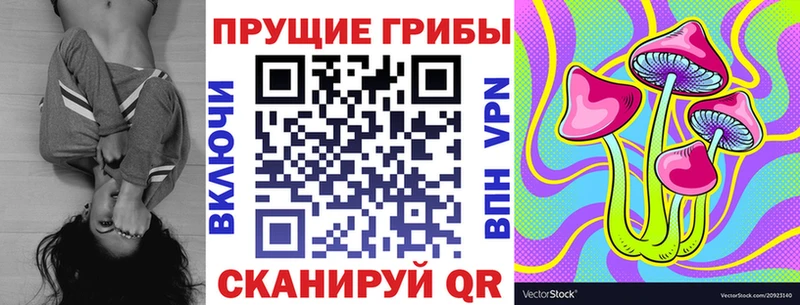 Псилоцибиновые грибы Psilocybe  Купить где  Черноголовка 