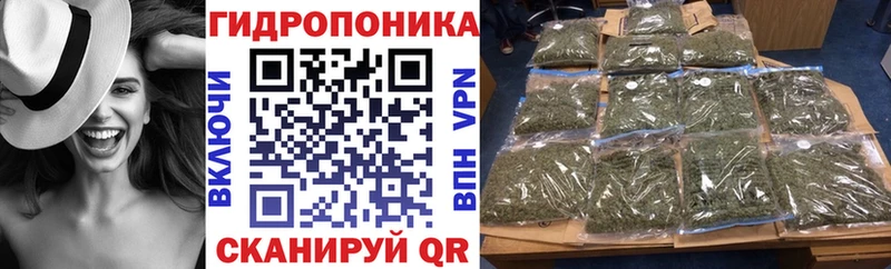 Купить где  Черноголовка  Шишки марихуана план 
